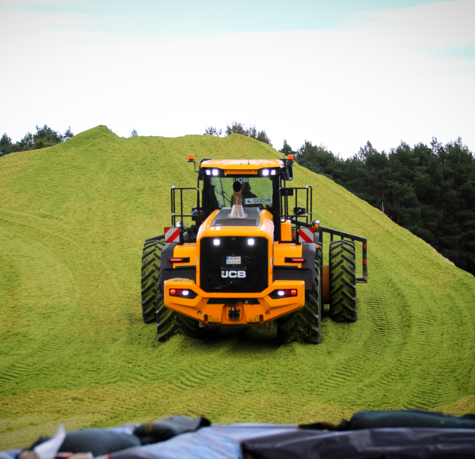 Radladerarbeiten Bild 3