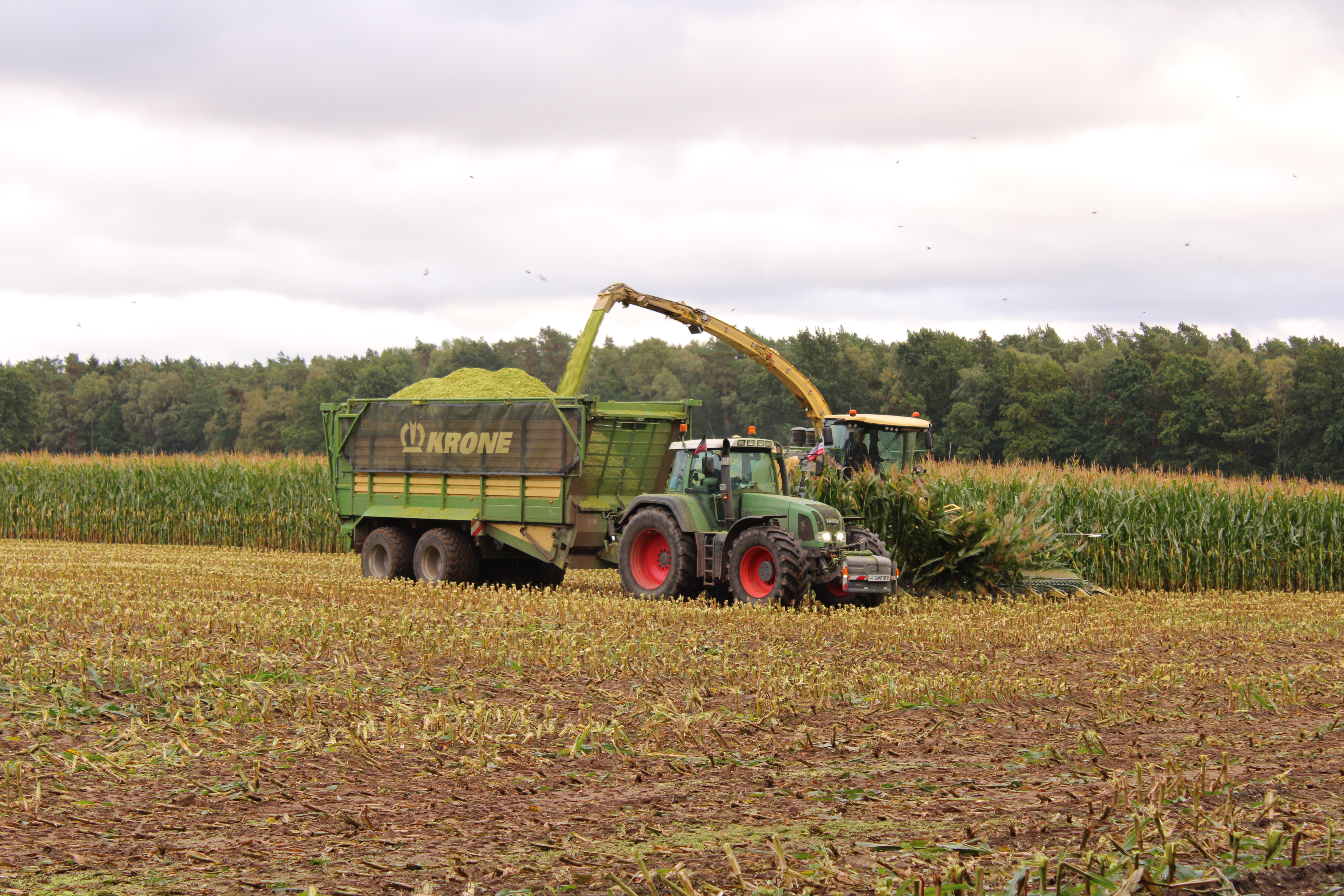 Unternehmen – Bild 1